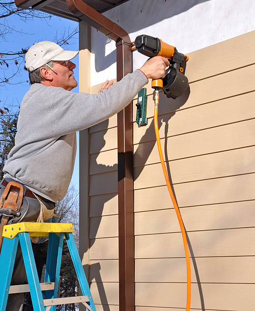 Affordable Siding Repair and Maintenance Services in Novato, CA